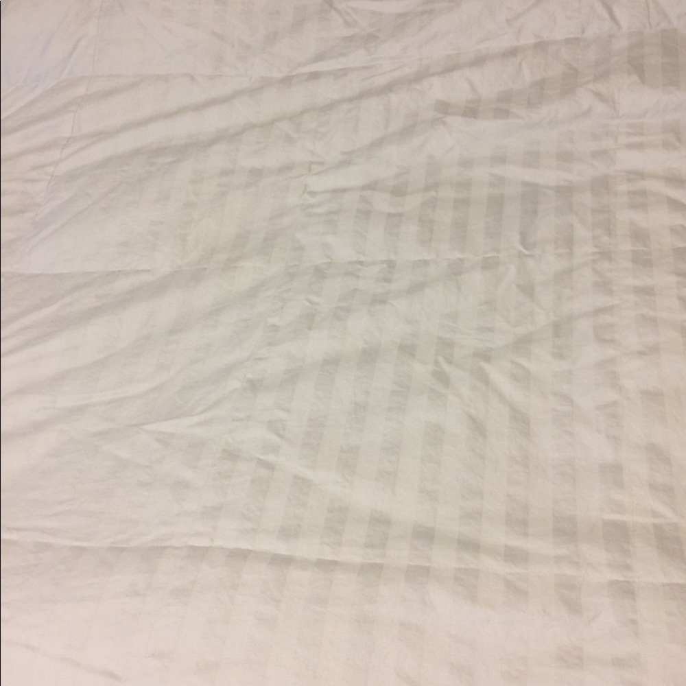 Blue ridge down comforter